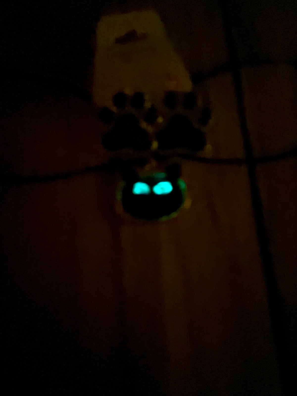 Black Cat Glow-in-the-Dark Resin Jewelry Set